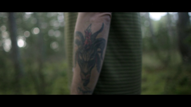 Video Reference N1: Plant, Sleeve, Eyelash, Temporary tattoo, Grass, Thigh, Tattoo, Font, Elbow, Chest