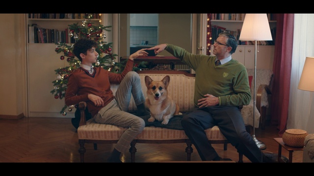 Video Reference N1: Christmas tree, Jeans, Dog, Table, Dog breed, Window, Couch, Carnivore, Fawn, Companion dog