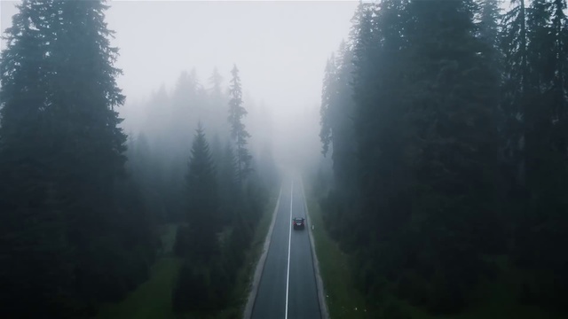 Video Reference N5: Sky, Plant, Water, Cloud, Tree, Sunlight, Road surface, Natural landscape, Fog, Atmospheric phenomenon