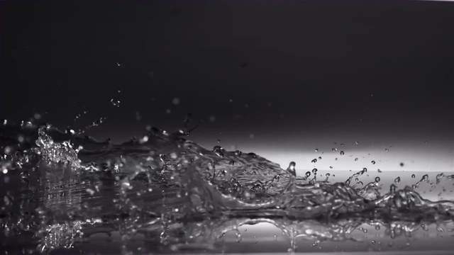 Video Reference N0: Water, Atmosphere, Liquid, Sky, Cloud, Plant, Flash photography, Body of water, Black-and-white, Horizon