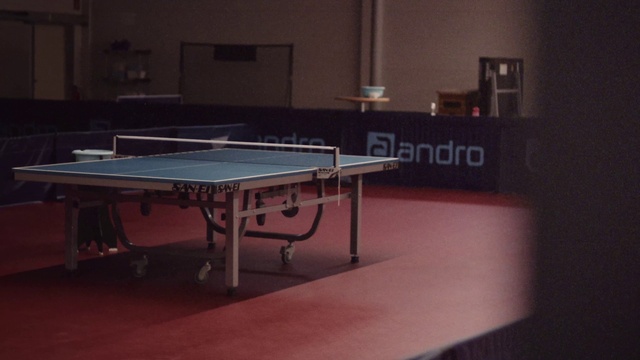 Video Reference N2: Table, Ping pong, Racquet sport, Table tennis racket, Wood, Recreation room, Rectangle, Flooring, Ball game, Window