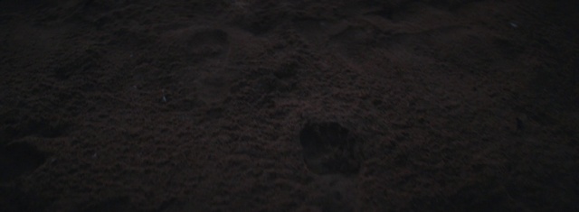 Video Reference N6: Brown, Flooring, Road surface, Soil, Asphalt, Pattern, Darkness, Concrete, Landscape, Fur
