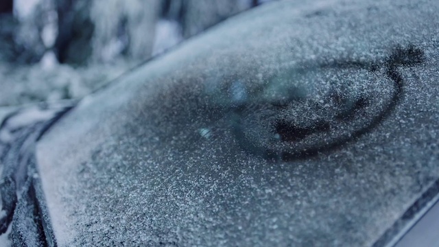 Video Reference N4: Window, Water, Grey, Automotive tire, Tree, Electric blue, Road surface, Close-up, Freezing, Pattern