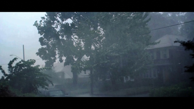 Video Reference N1: Atmosphere, Tree, Window, Plant, Natural landscape, Branch, Sky, Fog, Twig, Cloud