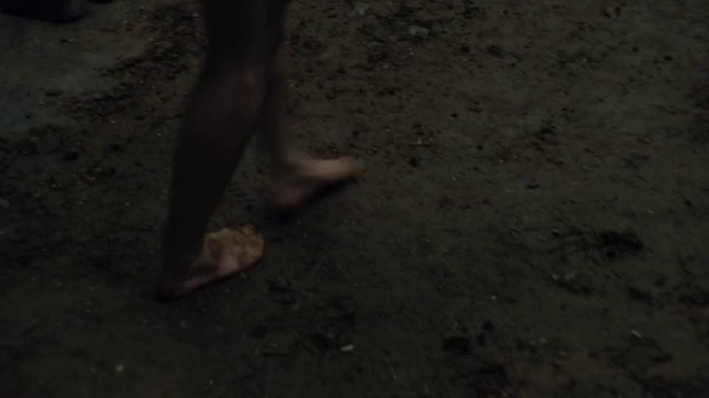Video Reference N1: Barefoot, Foot, Human leg, Thigh, Toe, Grass, Road surface, Flooring, Wood, Soil