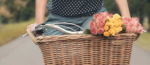 Video Reference N3: Bicycle accessory, Basket, Wicker, Bicycle basket, Storage basket, Picnic basket, Gift basket, Home accessories, Flower, Plant