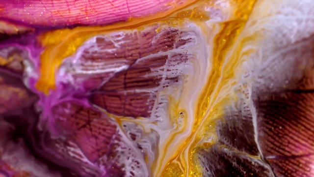 Video Reference N8: Purple, Close-up, Muscle, Organism, Textile, Red cabbage, Flesh, Macro photography, Human anatomy, Art