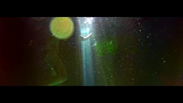 Video Reference N0: green, atmosphere, light, aurora, universe, organism, night, macro photography, darkness, space