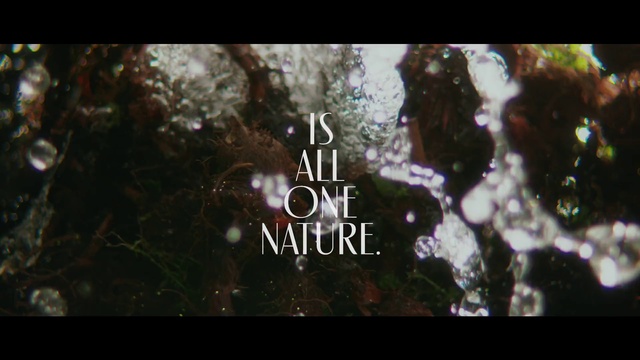 Video Reference N0: Nature, Font, Natural environment, Text, Organism, Tree, Branch, Photography, Graphic design, Adaptation, Sitting, Photo, Standing, Looking, Table, Close, Black, Computer, Holding, Colorful, Screen, Red, Glass, Sign, Laptop, Clear, White, Forest, Keyboard, Blue, Display, Room, Star, Screenshot, Reef