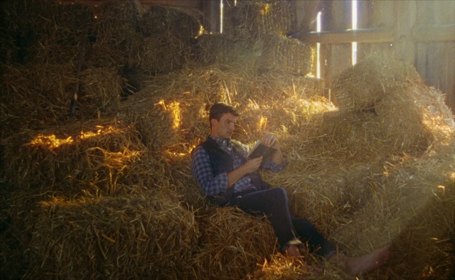 Video Reference N0: Straw, Screenshot, Digital compositing, Grass, Hay, Outdoor, Person, Man, Truck, Sitting, Sheep, Riding, Wearing, Woman, Night, Holding, Red, Eating, Standing, Group, Clothing, Human face, Tree