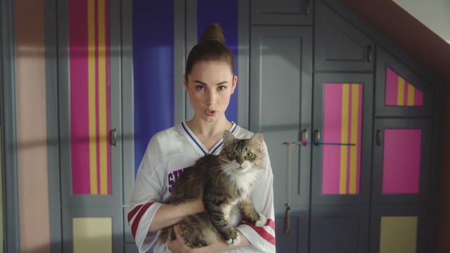 Video Reference N4: Cat, Felidae, Small to medium-sized cats, Norwegian forest cat, Carnivore, American curl, Animal shelter, Fawn, European shorthair, Maine coon