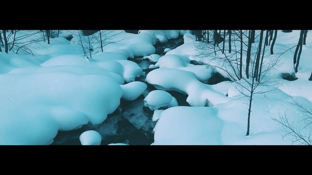 Video Reference N0: Nature, Snow, Winter, Freezing, Water, Sky, Tree, Ice, Branch, Screenshot, Person