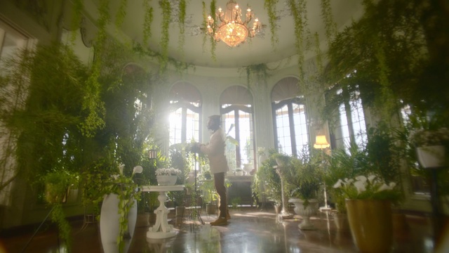 Video Reference N0: Nature, Light, Building, Lighting, Architecture, Sunlight, Tree, Estate, Plant, Interior design, Window, Table, Large, Sitting, Green, Many, Glass, Sun, Covered, Tall, Water, Standing, Clock, Room, Bus, Vase, Train, Houseplant, House