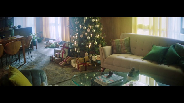 Video Reference N3: Living room, Room, Furniture, Green, Couch, Property, Interior design, Snapshot, House, Table