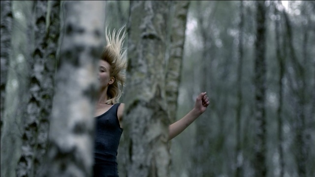 Video Reference N3: tree, woody plant, forest, woodland, plant, girl, old growth forest, branch, trunk, grass