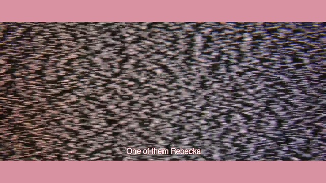 Video Reference N4: Brown, Pink, Fur, Pattern, Textile, Flooring, Lace wig, Magenta, Carpet