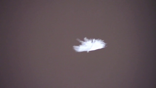 Video Reference N1: Sky, Feather, Cloud, Space, Wing