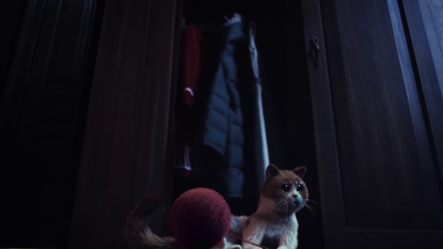 Video Reference N6: Snout, Fur, Cat, Performance, Darkness, Fawn, Window, Curtain, Canidae