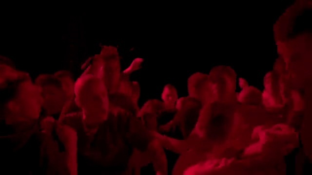 Video Reference N10: Red, Petal, Pink, Performance, Magenta, Audience, Crowd, Event, Darkness, Room