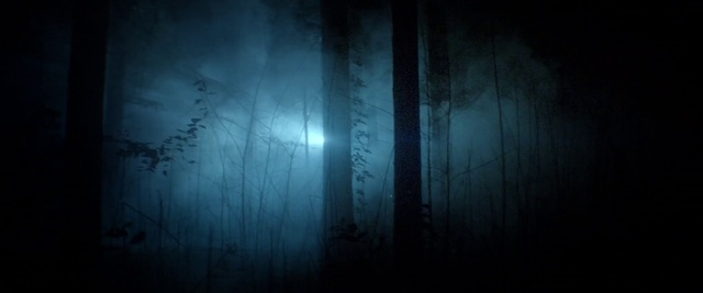 Video Reference N1: Blue, Darkness, Black, Atmosphere, Atmospheric phenomenon, Light, Natural environment, Sky, Forest, Tree