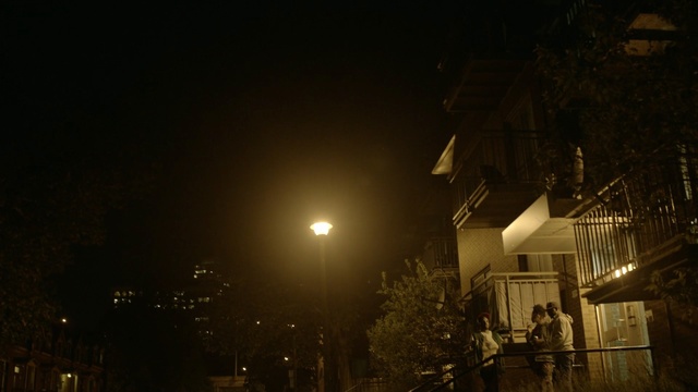 Video Reference N1: night, sky, darkness, atmosphere, light, street light, light fixture, architecture, lighting, tree