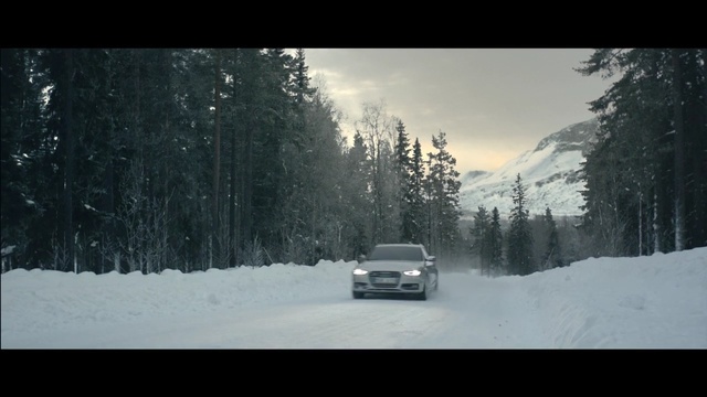Video Reference N5: snow, winter, nature, black, tree, freezing, woody plant, sky, mode of transport, car