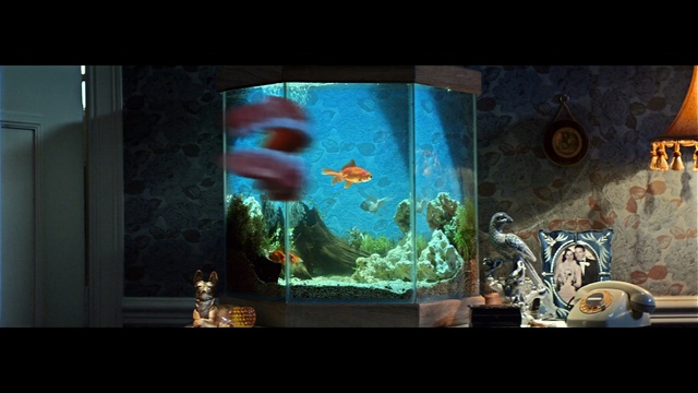 Video Reference N0: Organism, Aquarium, Freshwater aquarium, Fish, Marine biology, Animation, Fish, Screenshot, Digital compositing, Art