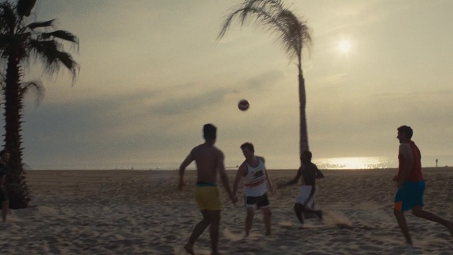 Video Reference N0: People on beach, Beach, Fun, Vacation, Sky, Tree, Horizon, Team sport, Palm tree, Ocean