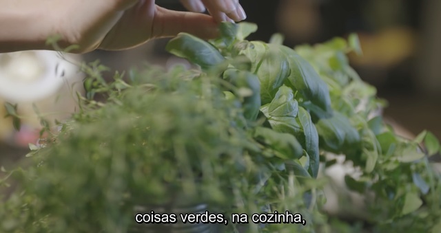 Video Reference N4: Plant, Leaf, Flower, Food, Vegetable, Herb, Leaf vegetable, Person