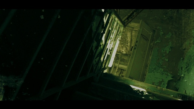 Video Reference N1: Green, Nature, Darkness, Light, Digital compositing, Screenshot, Atmosphere, Organism, Tree, Photography, Indoor, Sitting, Dark, Room, Table, Computer, White, Laptop, Man, Mirror, Sink, Holding, Playing, Standing, Cat, Video, Text