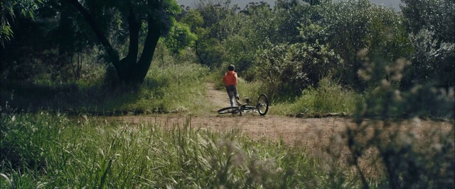 Video Reference N6: Nature, Vehicle, Bicycle, Vegetation, Grass, Cycling, Plant community, Shrubland, Mode of transport, Freestyle bmx