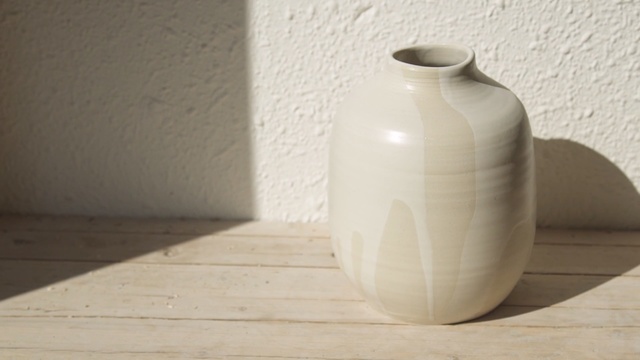 Video Reference N5: vase, artifact, ceramic, jug, pottery