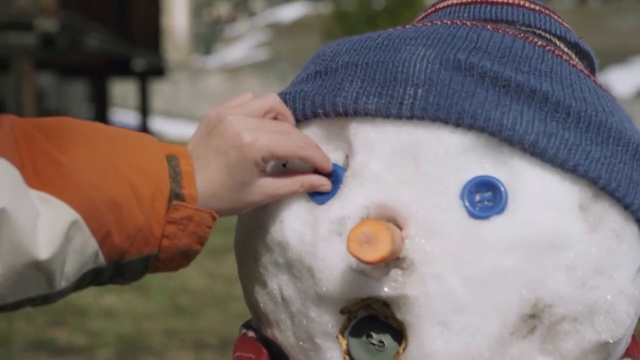 Video Reference N2: Snowman