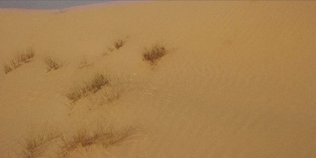 Video Reference N1: erg, sand, desert, aeolian landform, sahara, dune, ecoregion, landscape, singing sand, sky