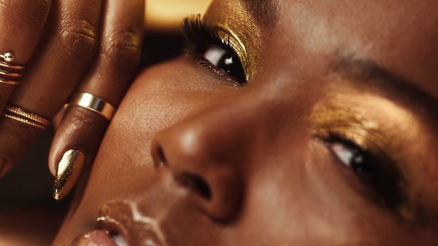 Video Reference N3: Face, Eyebrow, Skin, Nose, Close-up, Eye, Eyelash, Lip, Beauty, Head, Indoor, Brown, Dog, Close, Looking, Mouth, Eyes, Orange, Little, Laying, Wearing, Black, Teeth, Blue, White, Closeup, Staring
