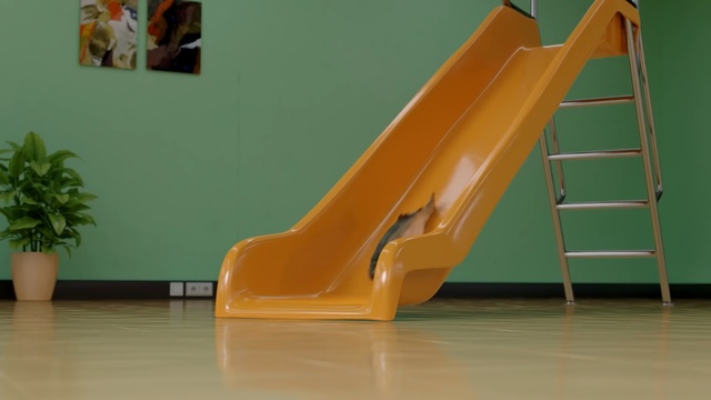 Video Reference N0: Playground slide, Yellow, Chute, Public space, Outdoor play equipment, Floor, Flooring, Stairs, Plastic, Furniture