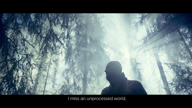 Video Reference N4: Atmospheric phenomenon, Tree, Atmosphere, Sky, Forest, Sunlight, Branch, Photography, Screenshot, Plant