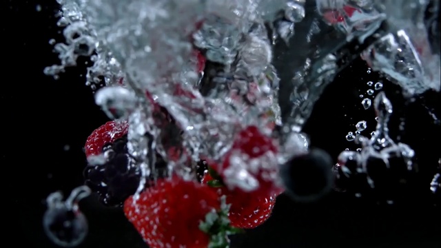 Video Reference N2: Water, Berry, Fruit, Plant, Frutti di bosco, Freezing, Macro photography, Blackberry, Cake, Indoor, Sitting, Table, Food, Piece, Plate, Close, Covered, Holding, Large, Snow, Sugar, Dog, Birthday, Hot, White, Red, Droplet, Christmas tree, Dessert