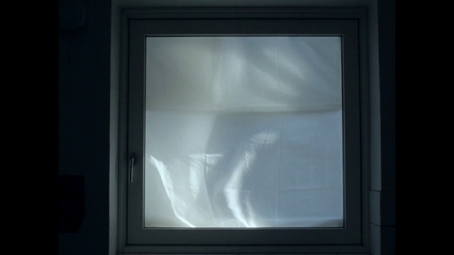 Video Reference N3: Window, Screen, Photography, Picture frame, Transparent material