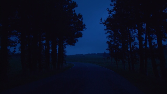 Video Reference N0: blue, sky, nature, night, atmosphere, darkness, light, tree, evening, moonlight