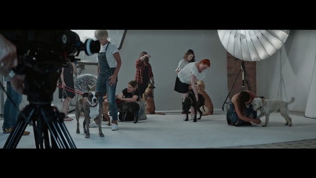 Video Reference N1: Performance art, Conformation show, Art, Fun, Performance, Photography, Guard dog, Non-Sporting Group, Canidae, Dog breed, Person