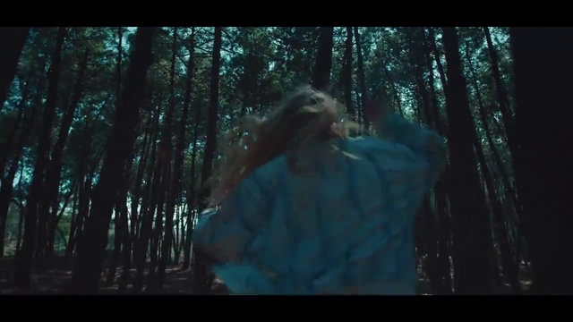 Video Reference N12: Forest, Nature, Woodland, Natural environment, Tree, Green, Wilderness, Movie, Darkness, Photography