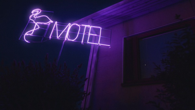 Video Reference N0: Purple, Violet, Light, Neon, Visual effect lighting, Neon sign, Lighting, Text, Font, Darkness