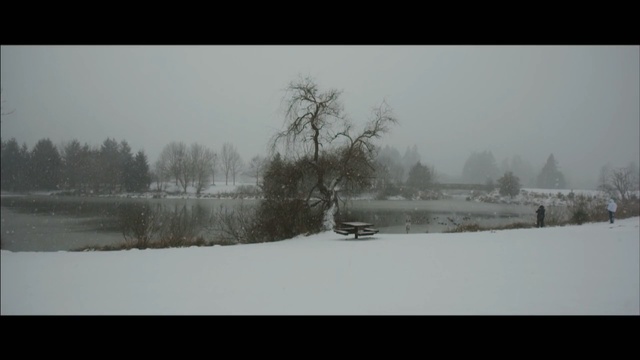 Video Reference N2: snow, winter, freezing, tree, winter storm, sky, fog, blizzard, frost, mist, Person