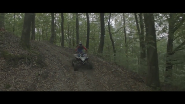 Video Reference N1: Woodland, Trail, Forest, Nature, Natural environment, Vehicle, Wilderness, Freeride, Tree, All-terrain vehicle, Person