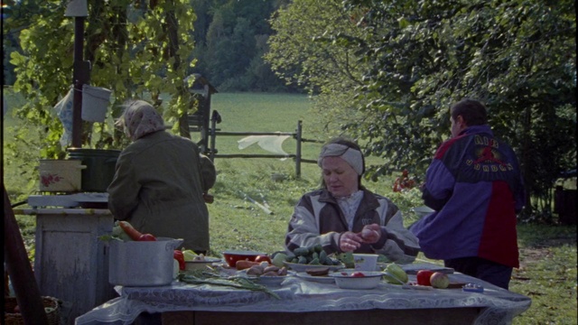 Video Reference N0: Picnic, Recreation, Meal, Event, Tree, Table, Adaptation, Lunch, Landscape