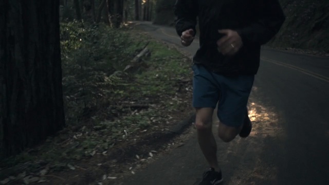 Video Reference N1: photograph, person, path, darkness, tree, ultramarathon, recreation, sky, morning, night