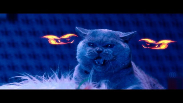 Video Reference N2: Light, Snout, Electric blue, Darkness, Felidae, Whiskers, Cat, Fictional character, Screenshot