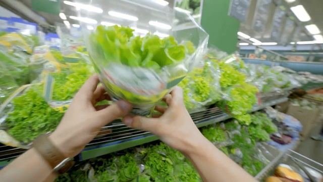 Video Reference N6: leaf vegetable, vegetable, local food, produce, plant, lettuce, herb, greenhouse, cruciferous vegetables, romaine lettuce