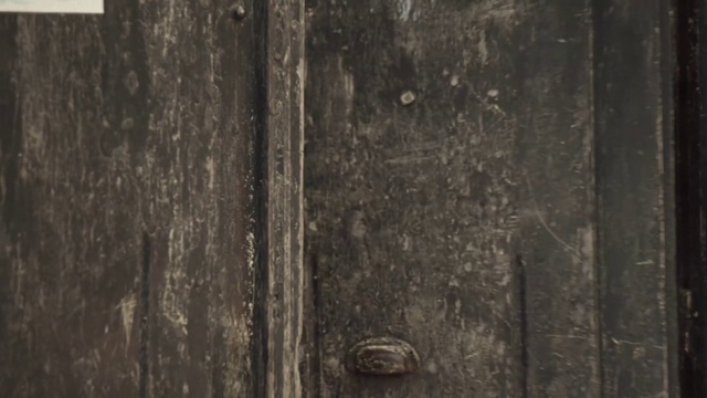 Video Reference N1: Wood, Brown, Wood stain, Plank, Hardwood, Pattern, Door handle